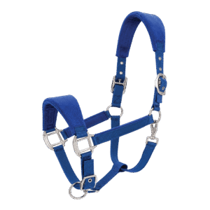 Halter & Leeds